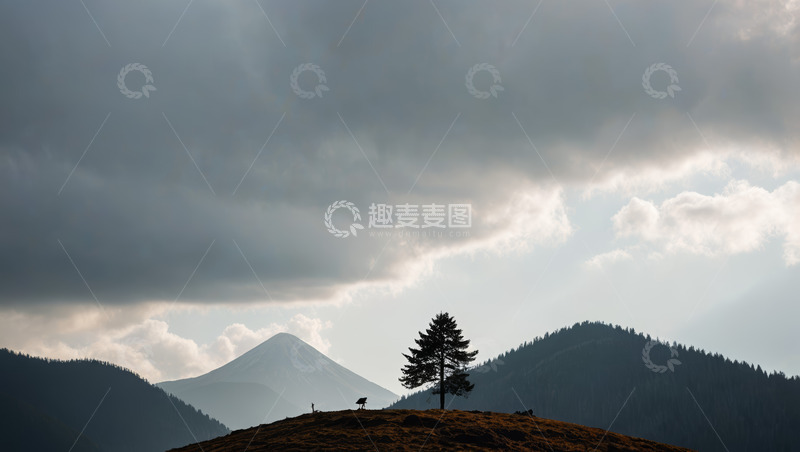 高清大图下载【趣麦麦图】山巅孤树与远处山峦风景