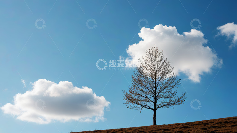 高清大图下载【趣麦麦图】蓝天中孤树与白云景象