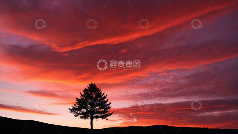 高清大图下载【趣麦麦图】日落时分单棵树木与绚烂天空