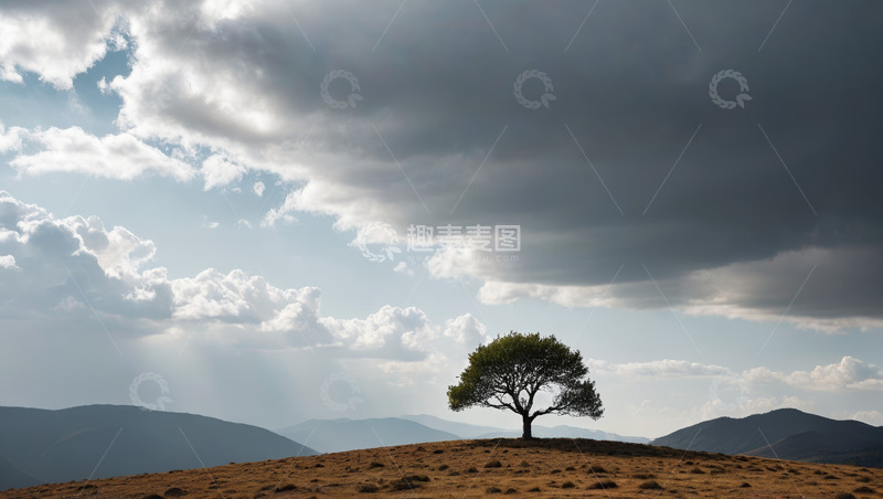 高清大图下载【趣麦麦图】山丘上的孤树与多云天空