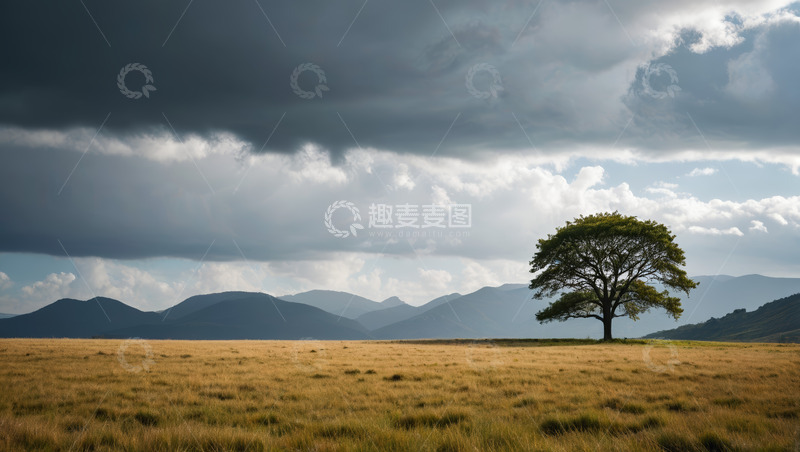 高清大图下载【趣麦麦图】旷野中孤树与远山的自然景象