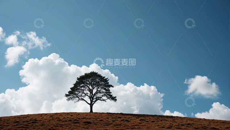 高清大图下载【趣麦麦图】山丘上孤立的树木与蓝天白云