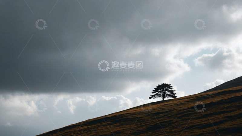 高清大图下载【趣麦麦图】山丘上孤树与多云天空景观