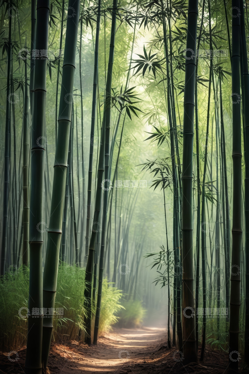 高清大图下载【趣麦麦图】幽静竹林中的林间小道