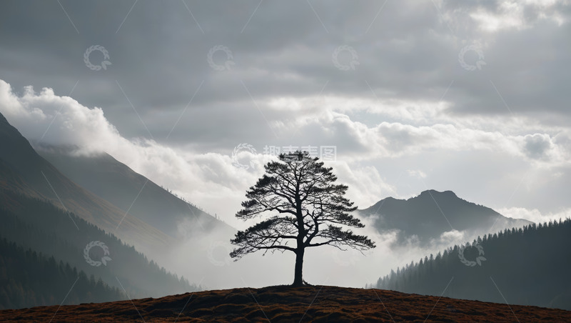 高清大图下载【趣麦麦图】山间孤树云雾景观
