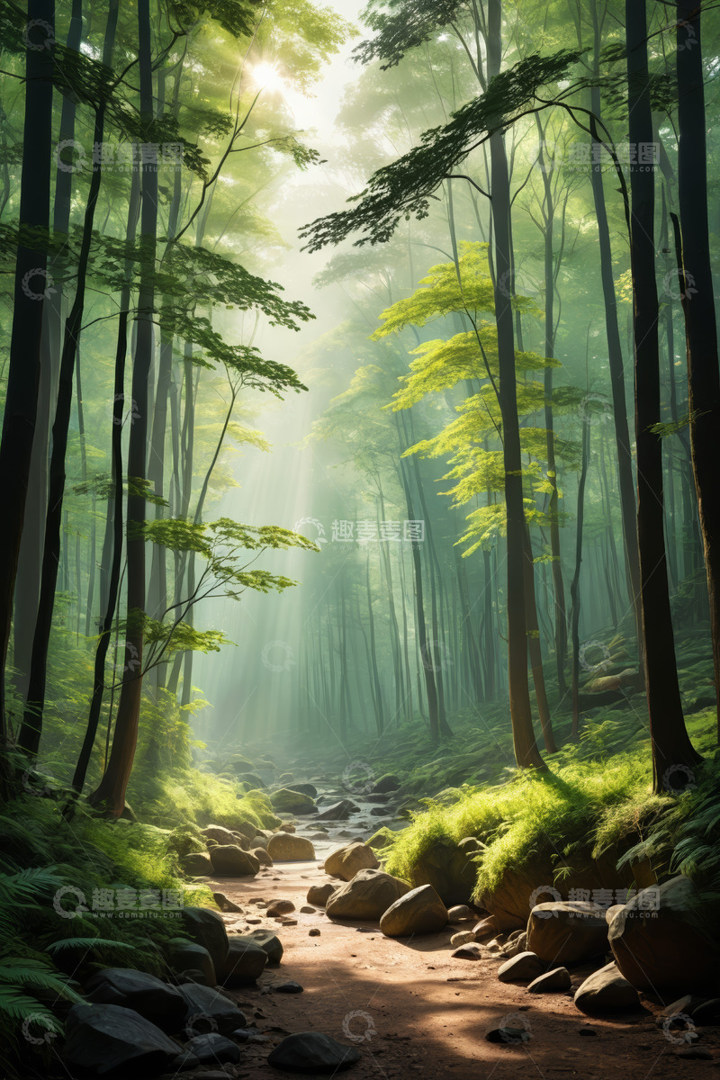高清大图下载【趣麦麦图】阳光照耀下的森林小径