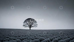 旷野中孤树自然景观