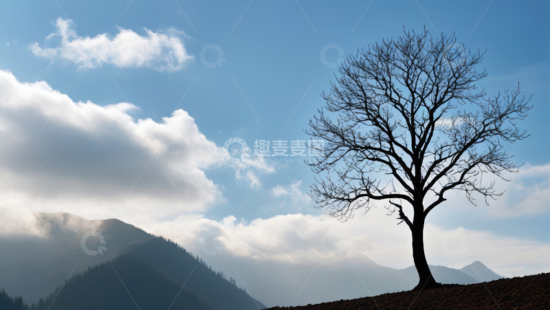 高清大图下载【趣麦麦图】蓝天白云下的孤树与远山景观