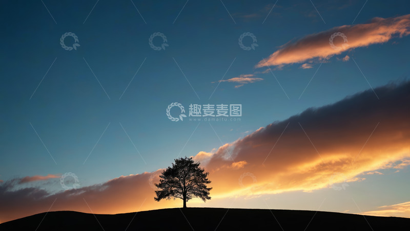 高清大图下载【趣麦麦图】夕阳下孤树与天空景观
