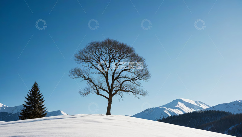 高清大图下载【趣麦麦图】雪山上的孤树与远山景色