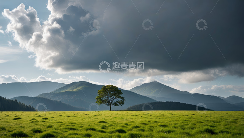 高清大图下载【趣麦麦图】草原上的孤树与远山风景