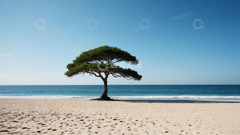 高清大图下载【趣麦麦图】海滩上的孤树与海洋景观