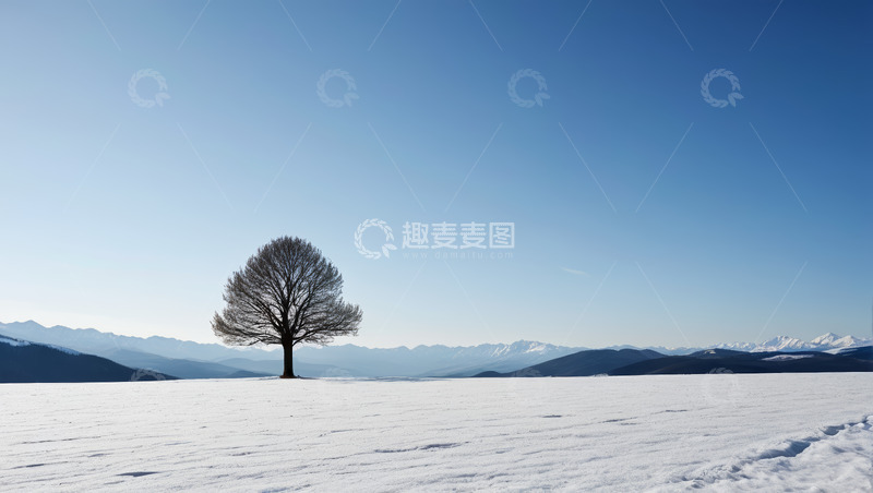 高清大图下载【趣麦麦图】雪地中孤独的树木与山脉远景