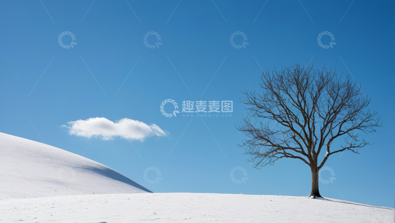高清大图下载【趣麦麦图】雪地中孤独的树木与蓝天