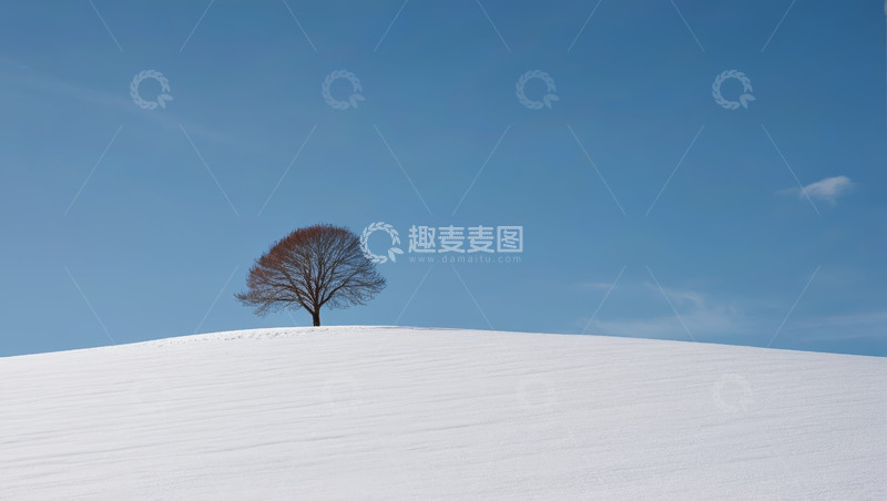 高清大图下载【趣麦麦图】雪地上的单棵树木