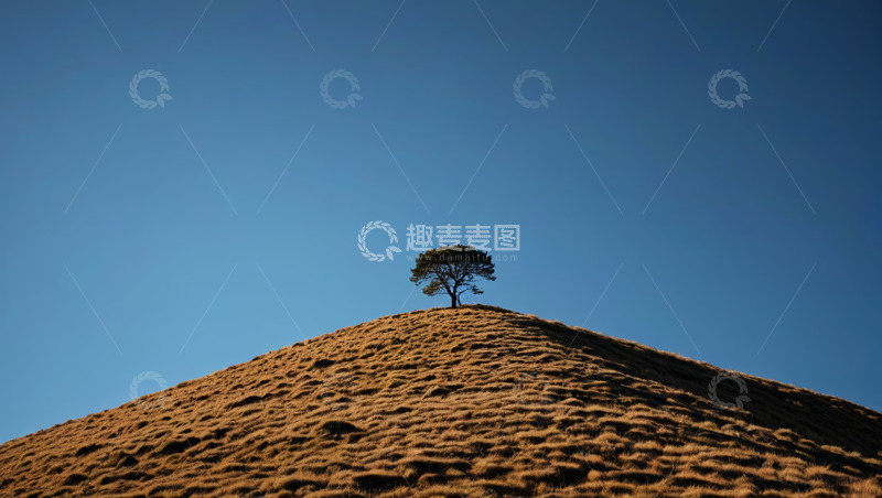 高清大图下载【趣麦麦图】山顶孤树与蓝天景观