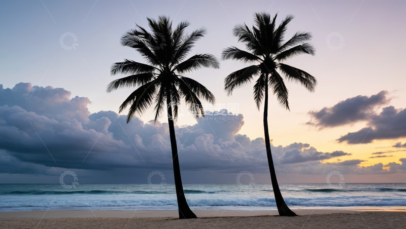 高清大图下载【趣麦麦图】海滩上的两棵椰子树