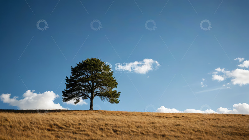 高清大图下载【趣麦麦图】草原上孤独的树与蓝天白云