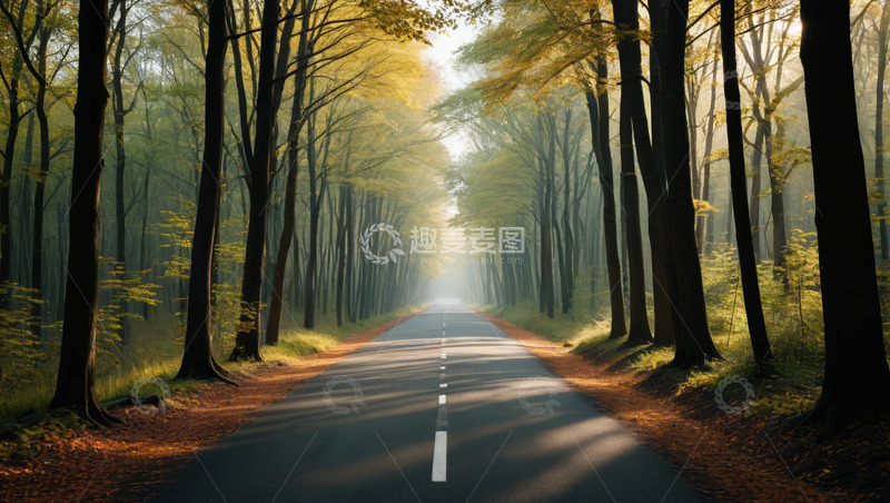 高清大图下载【趣麦麦图】林间道路自然风光