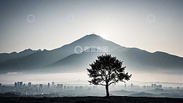 城市远山旁的孤树风景
