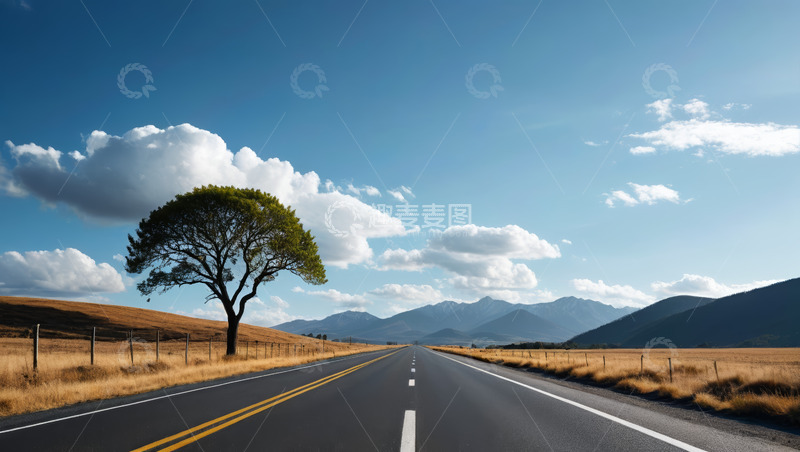 高清大图下载【趣麦麦图】开阔公路旁的孤树与远山景观