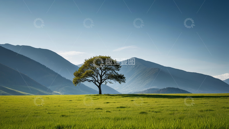 高清大图下载【趣麦麦图】草原上独立大树与远山风景