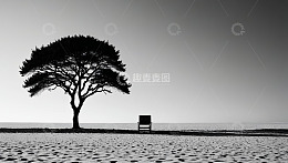 沙滩上孤树与椅子景观