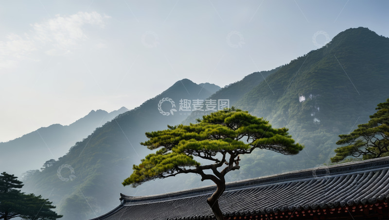 高清大图下载【趣麦麦图】中式建筑旁的山景与松树