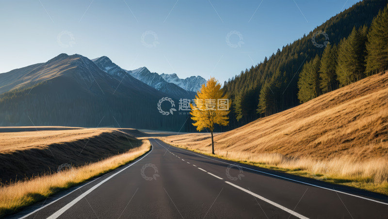 高清大图下载【趣麦麦图】山间公路旁的孤树与远山