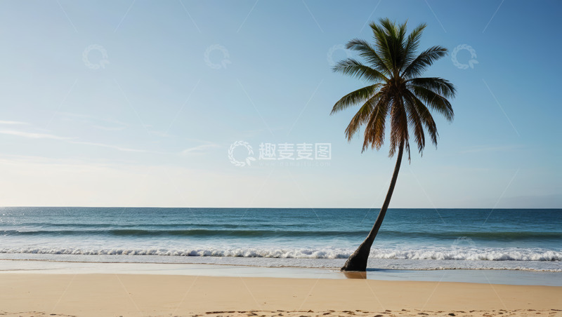 高清大图下载【趣麦麦图】海滩上的单棵倾斜椰子树