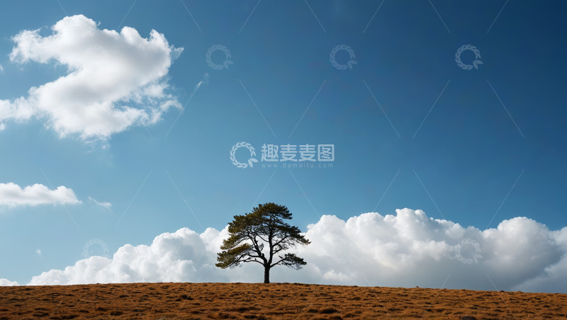 高清大图下载【趣麦麦图】蓝天下孤树与草地景象