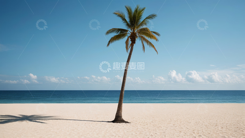 高清大图下载【趣麦麦图】海滩上的单棵椰子树景观