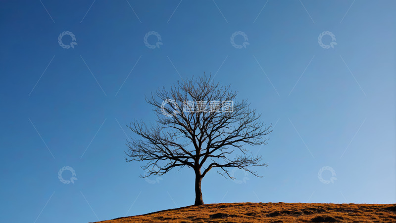 高清大图下载【趣麦麦图】蓝天下山顶的孤树