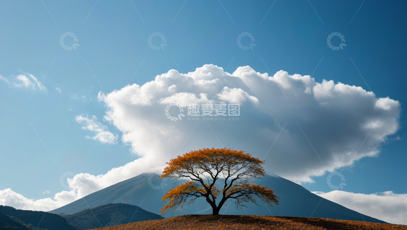 高清大图下载【趣麦麦图】山顶孤树与远山白云景观