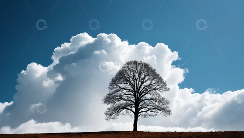 高清大图下载【趣麦麦图】蓝天中孤树立于地面