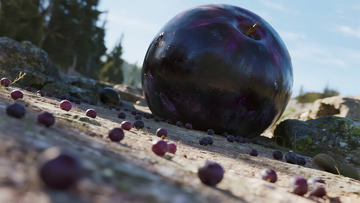 自然风李子静物摄影