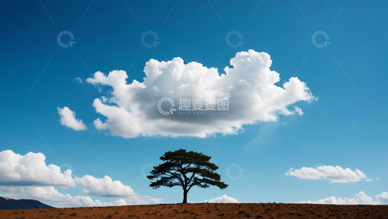 高清大图下载【趣麦麦图】蓝天下孤树与白云景观