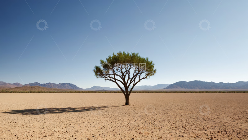 高清大图下载【趣麦麦图】沙漠中孤独的树与远山景观