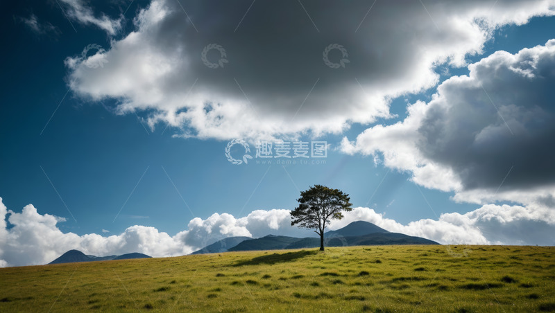 高清大图下载【趣麦麦图】草原上的孤树与蓝天白云