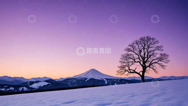 高清大图下载【趣麦麦图】雪地上的孤树与远处雪山景观