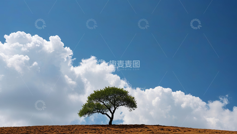 高清大图下载【趣麦麦图】蓝天下孤树与白云景观