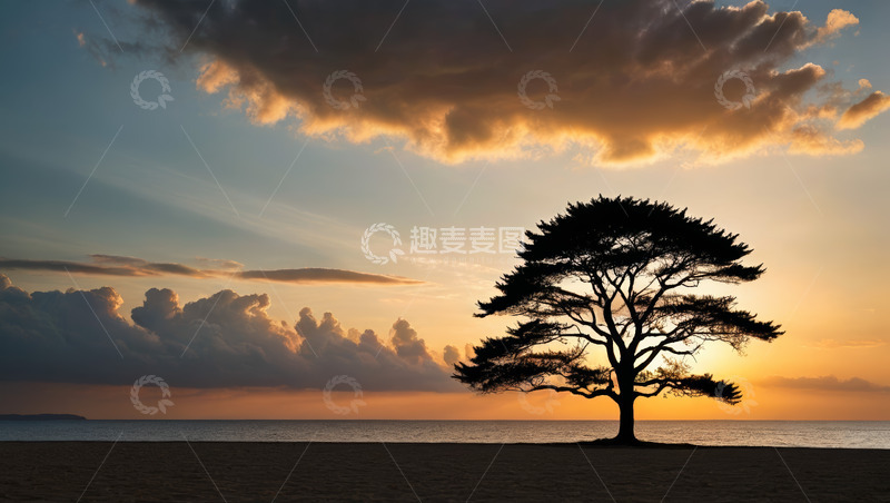 高清大图下载【趣麦麦图】海边落日下的孤树风景