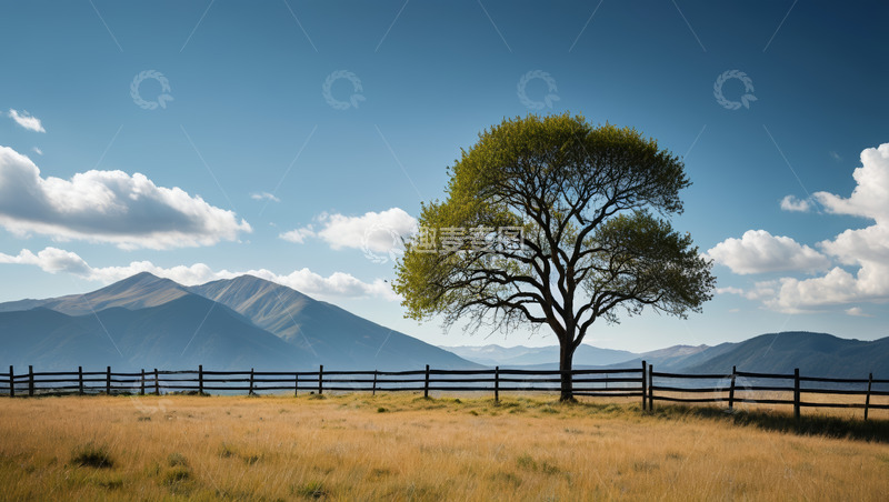 高清大图下载【趣麦麦图】原野上的孤树与远山景观