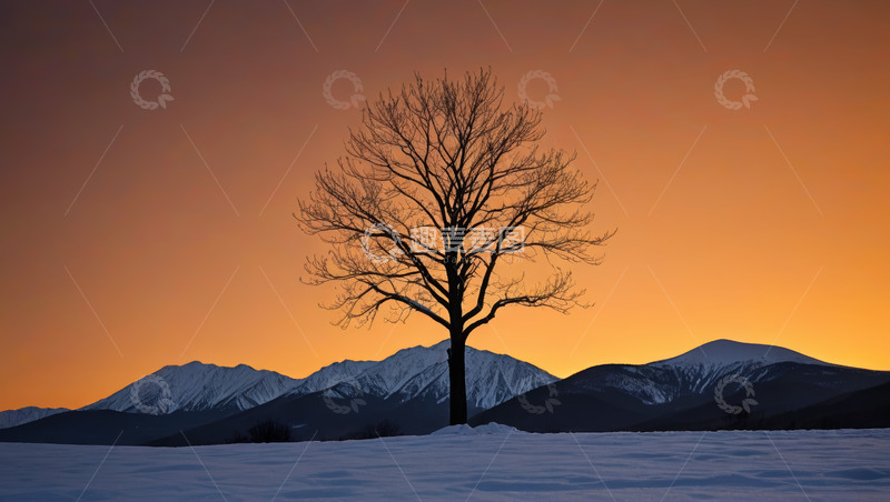 高清大图下载【趣麦麦图】雪地孤树与远处雪山景色