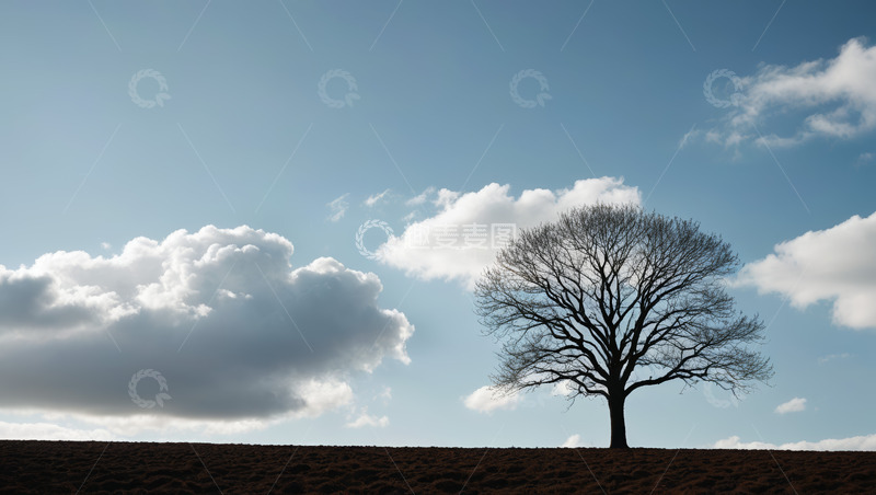 高清大图下载【趣麦麦图】蓝天下的孤树与白云景观