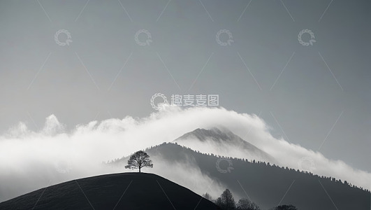 山顶孤树云雾缭绕自然风光