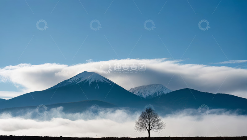 高清大图下载【趣麦麦图】远山云海中的孤树风景