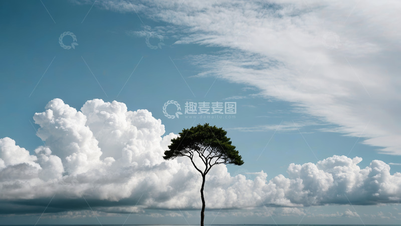 高清大图下载【趣麦麦图】蓝天下孤树与云朵风景