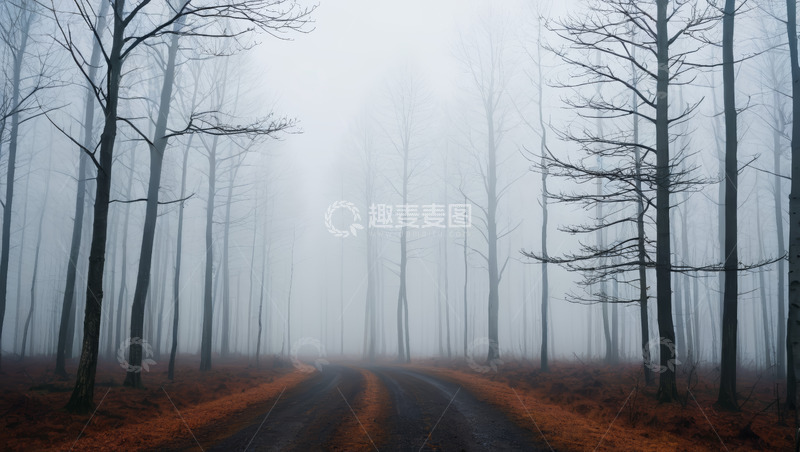 高清大图下载【趣麦麦图】雾中森林的蜿蜒道路