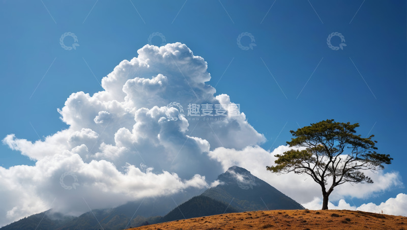 高清大图下载【趣麦麦图】蓝天白云下孤树与远山景观